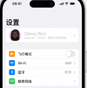 乌审appleID维修服务iPhone设置中Apple ID显示为灰色无法使用 