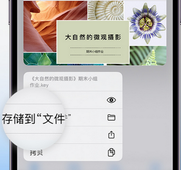 乌审apple维修中心分享iPhone文件应用中存储和找到下载文件