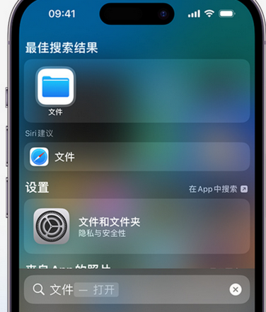 乌审apple维修中心分享iPhone文件应用中存储和找到下载文件