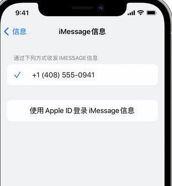 乌审apple维修iPhone上无法正常发送iMessage信息 