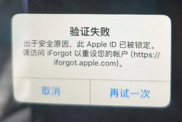 乌审iPhone维修分享iPhone上正常登录或使用AppleID怎么办 