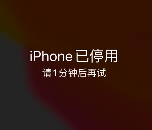 乌审苹果手机维修分享:iPhone 显示“不可用”或“已停用”怎么办？还能保留数据吗？ 