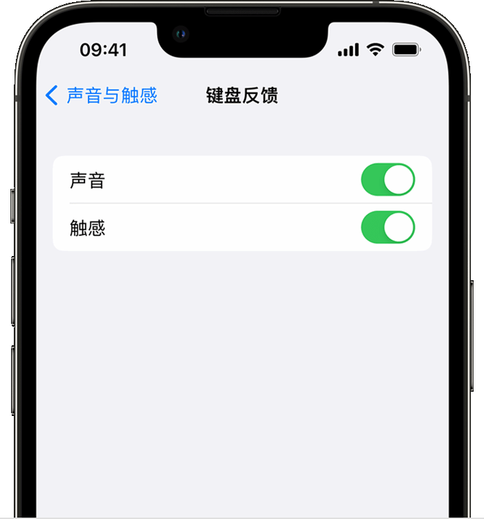 乌审苹果14维修店分享如何在 iPhone 14 机型中使用触感键盘 