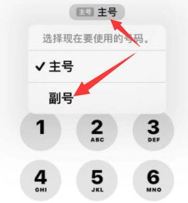 乌审苹果14维修店分享iPhone 14 Pro Max使用副卡打电话的方法 