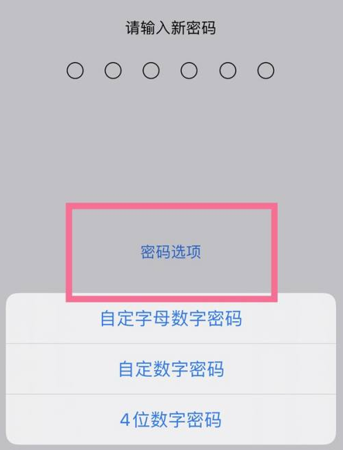 乌审苹果14维修分享iPhone 14plus设置密码的方法 