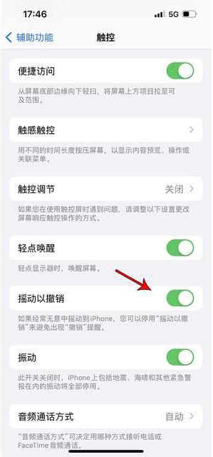 乌审苹果手机维修分享iPhone手机如何设置摇一摇删除文字 